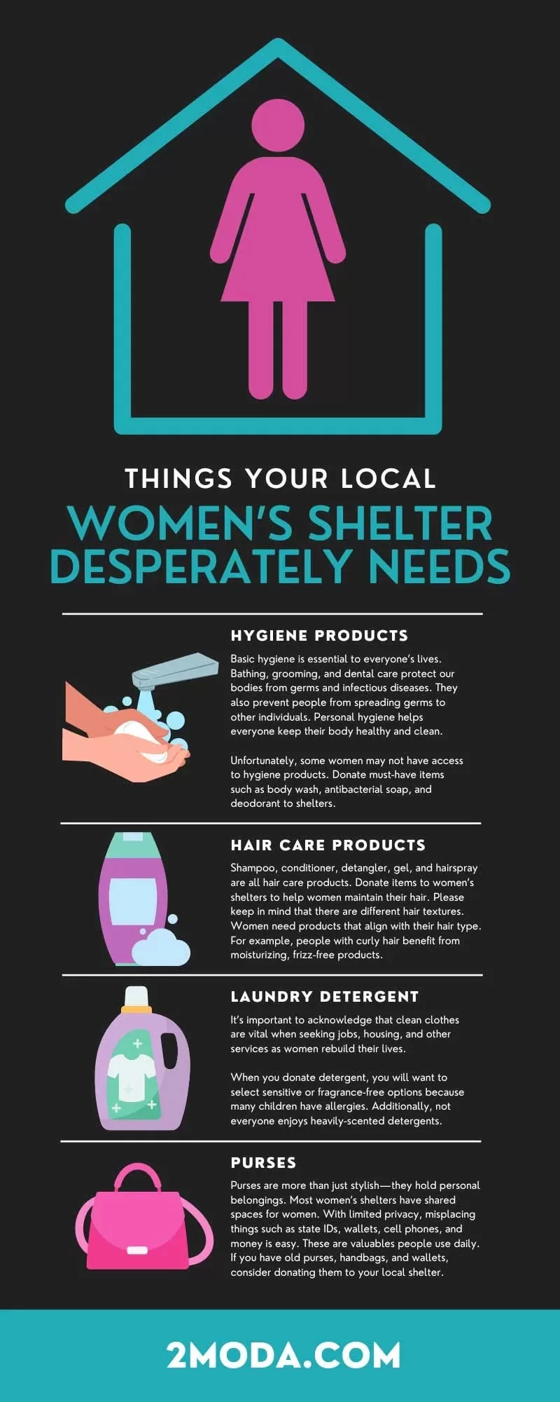 Local-Womens-Shelter-infographic