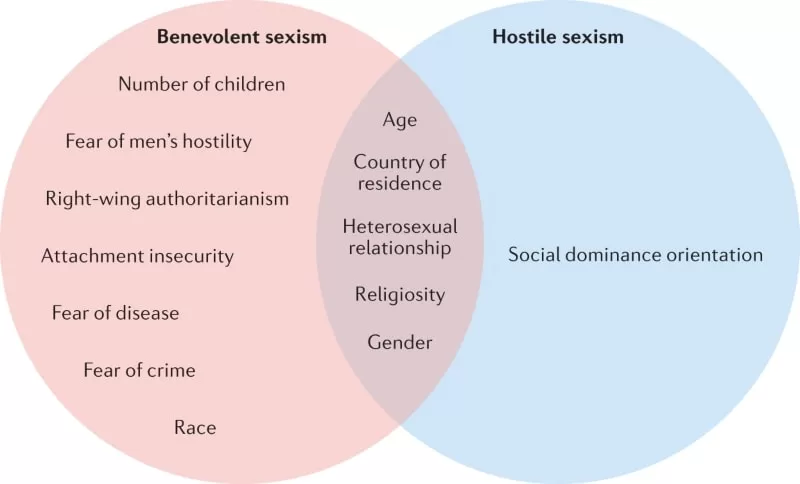 infographic on sexism